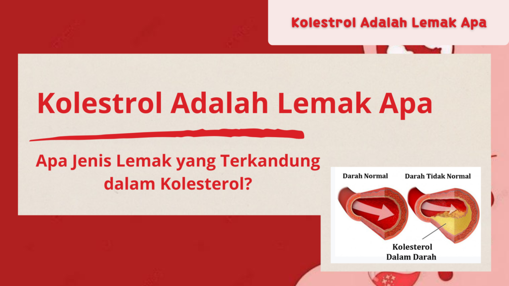 Kolesterol Adalah Lemak Apa