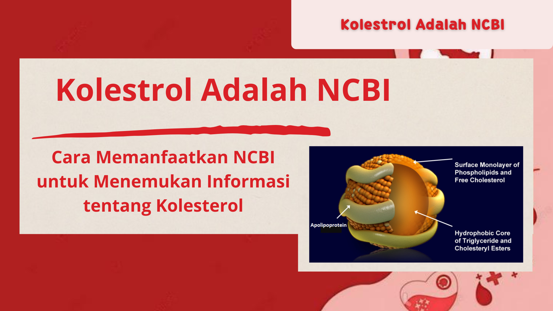 Kolestrol Adalah NCBI