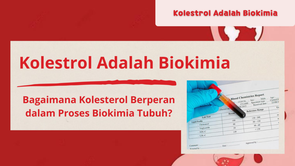 Kolestrol Adalah Biokimia