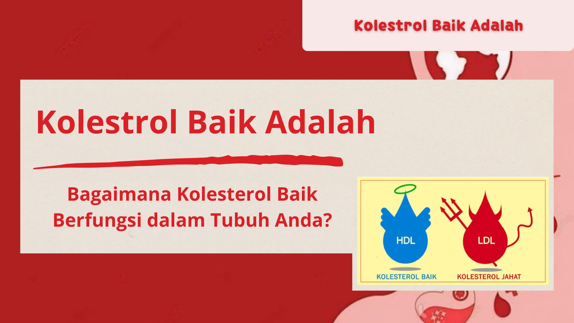 Kolestrol Baik Adalah