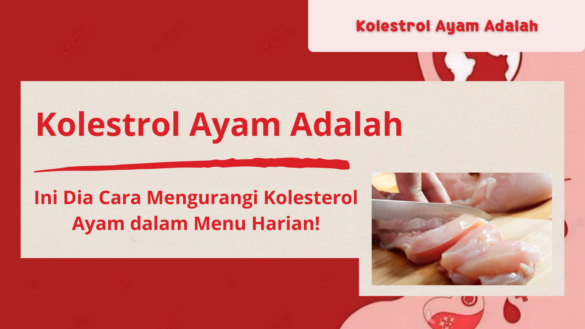 Kolestrol Ayam Adalah