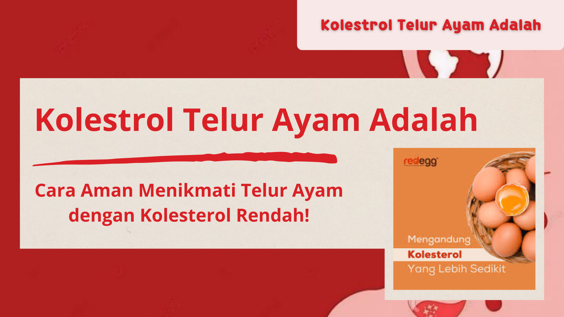 Kolestrol Telur Ayam Adalah