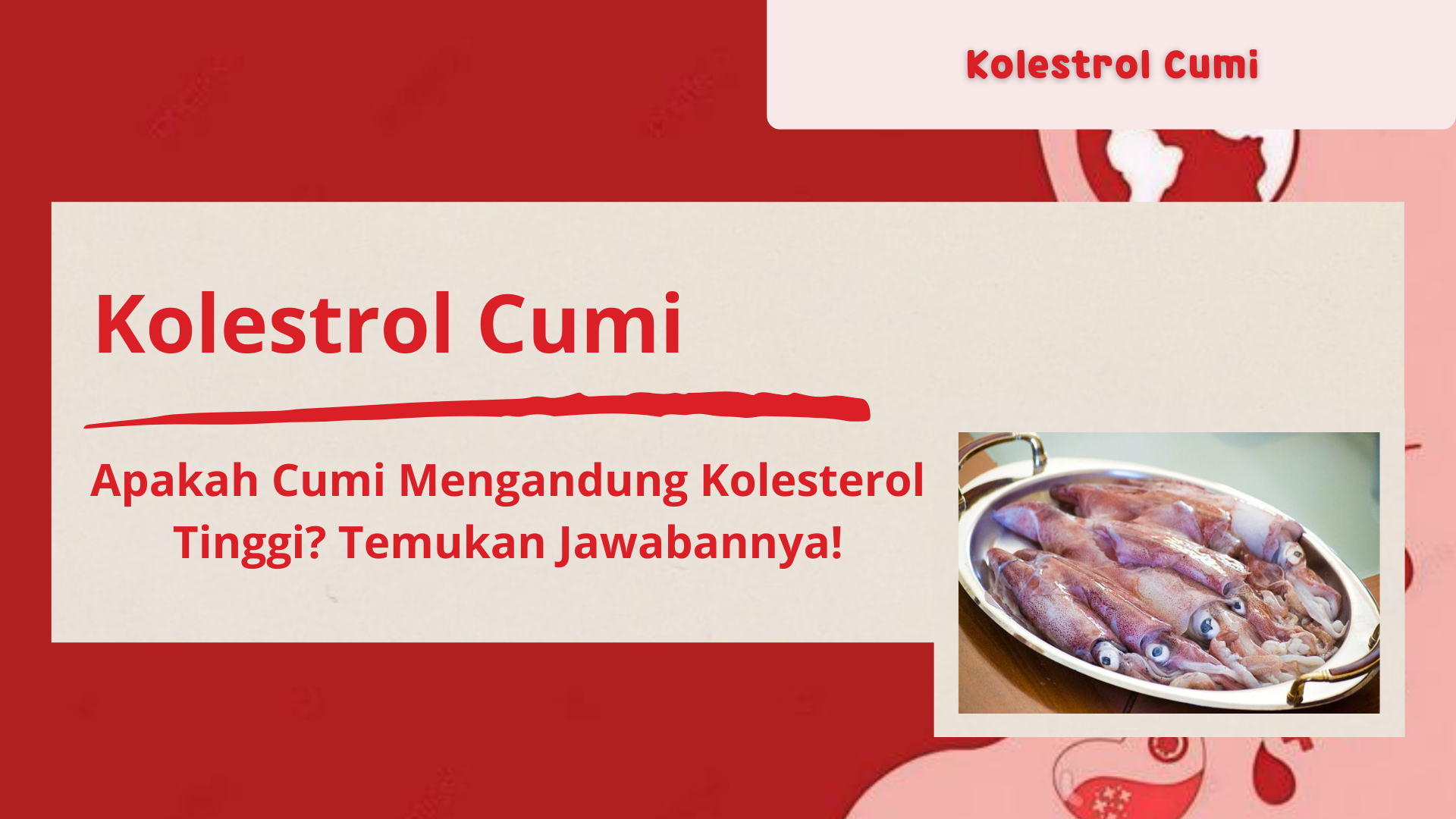 Kolestrol Cumi