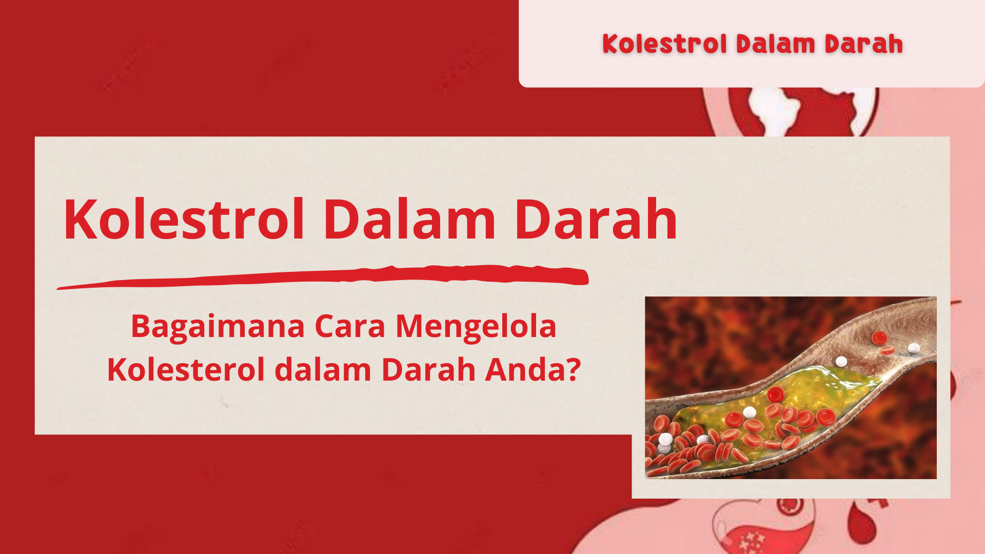 Kolestrol Dalam Darah