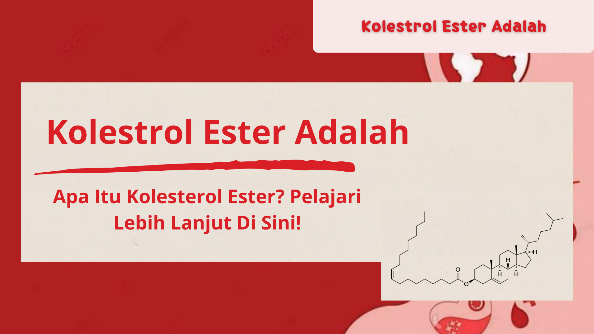 Kolestrol Ester Adalah