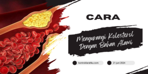 Cara Mengurangi Kolesterol Dengan Bahan Alami