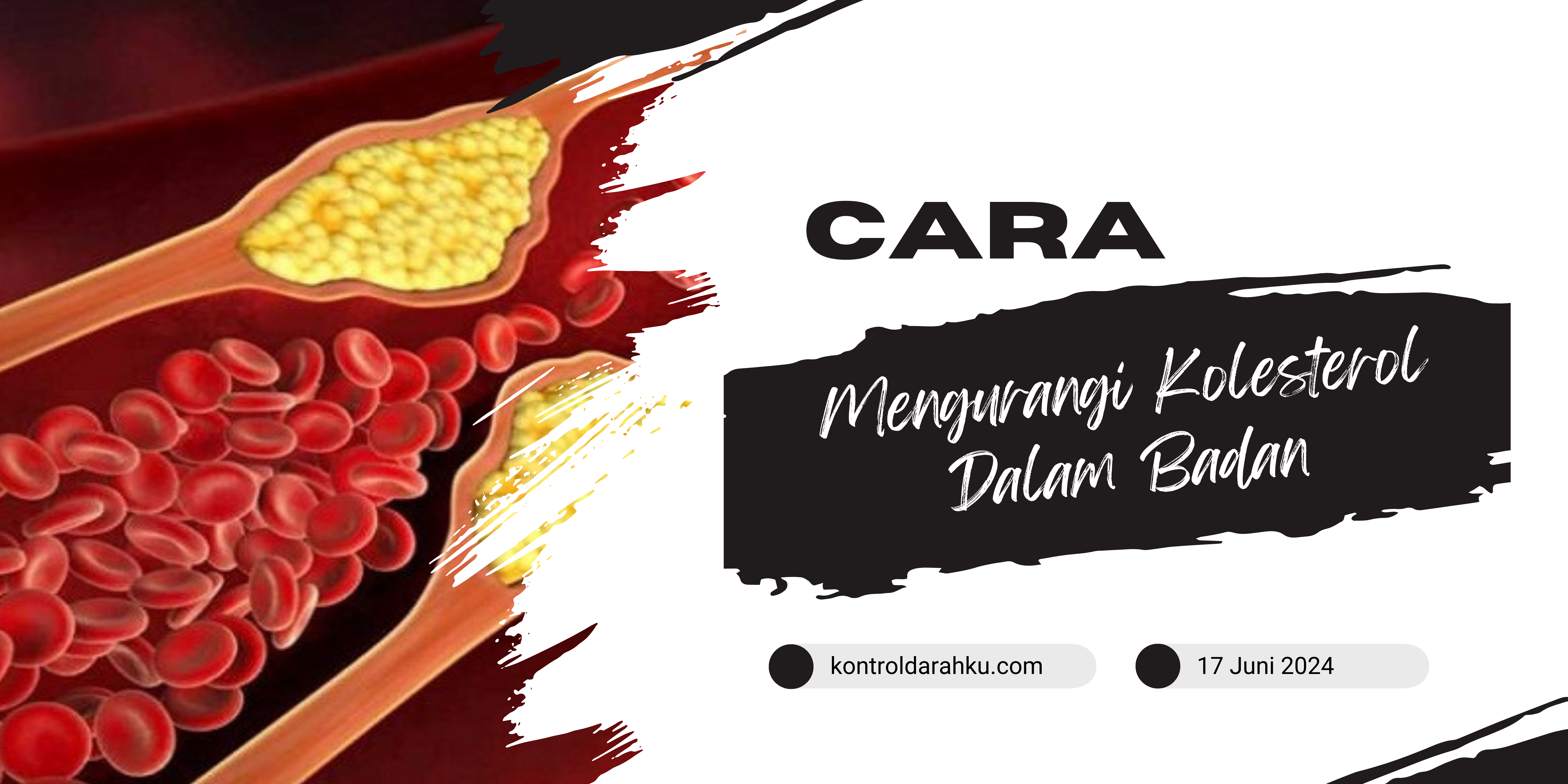 Cara Mengurangi Kolesterol Dalam Badan