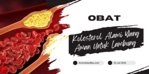 Obat Kolesterol Alami Yang Aman Untuk Lambung