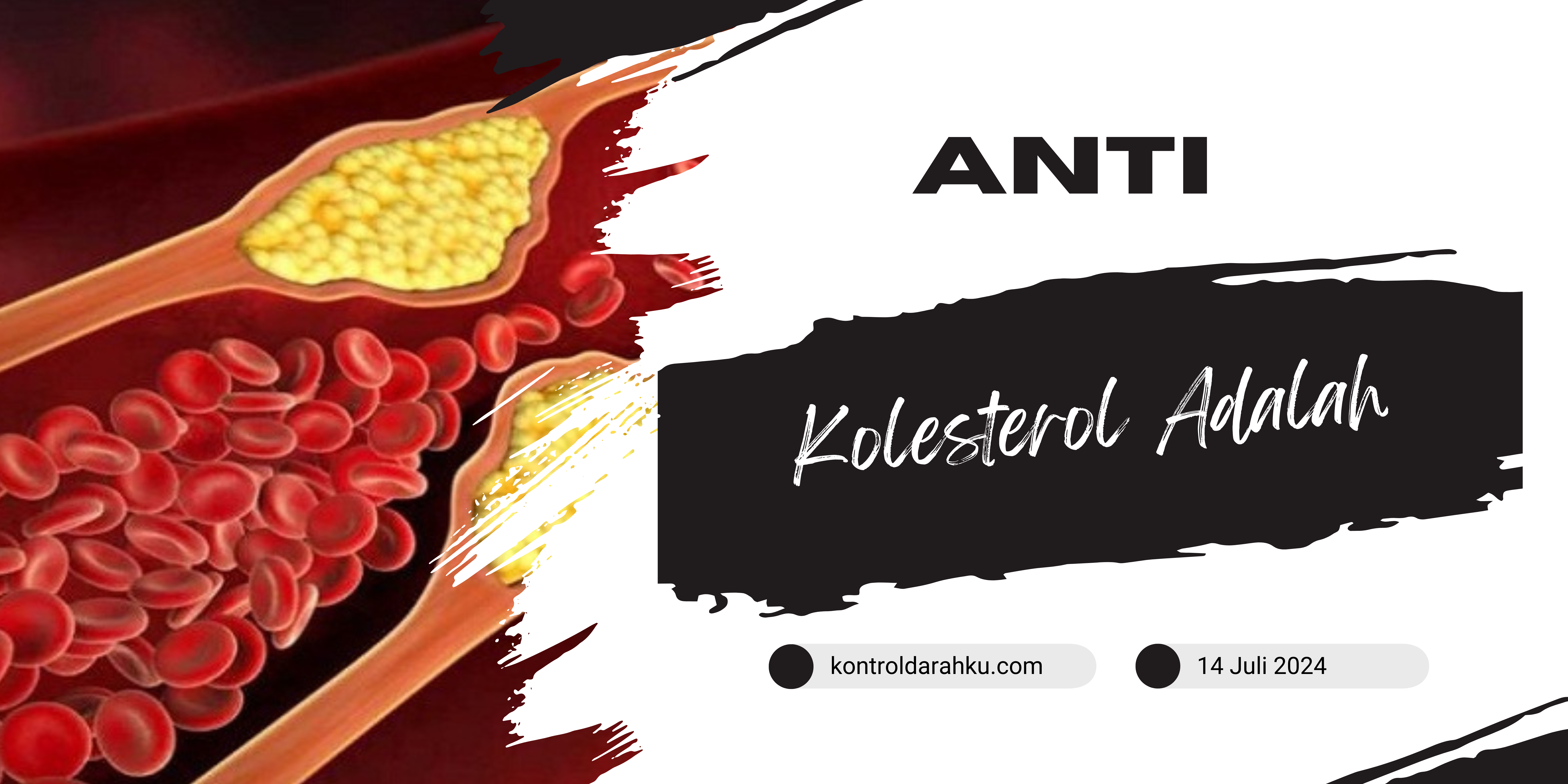 Anti Kolesterol Adalah