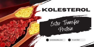 Kolesterol Ester Transfer Protein