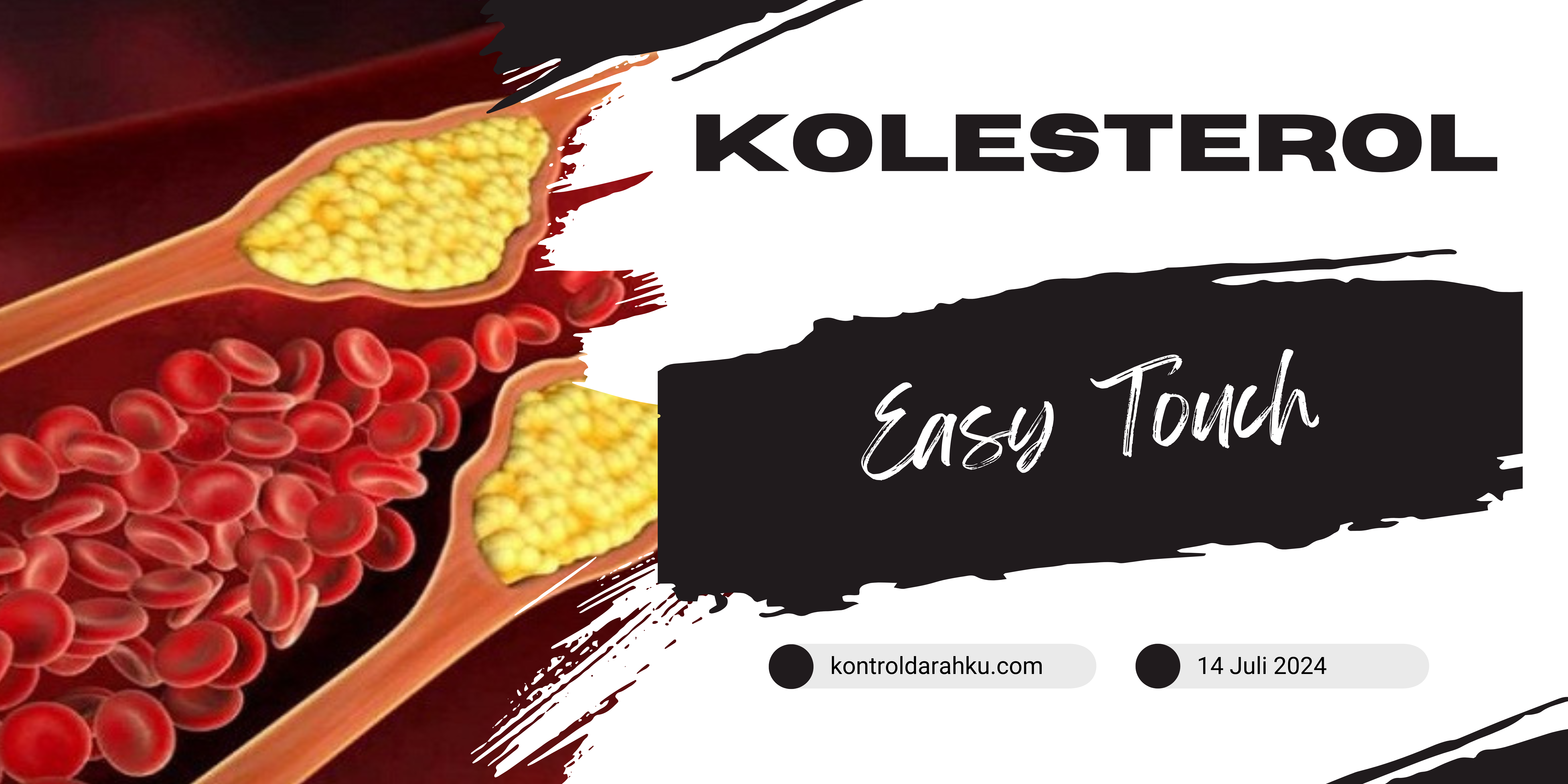 Kolesterol Easy Touch