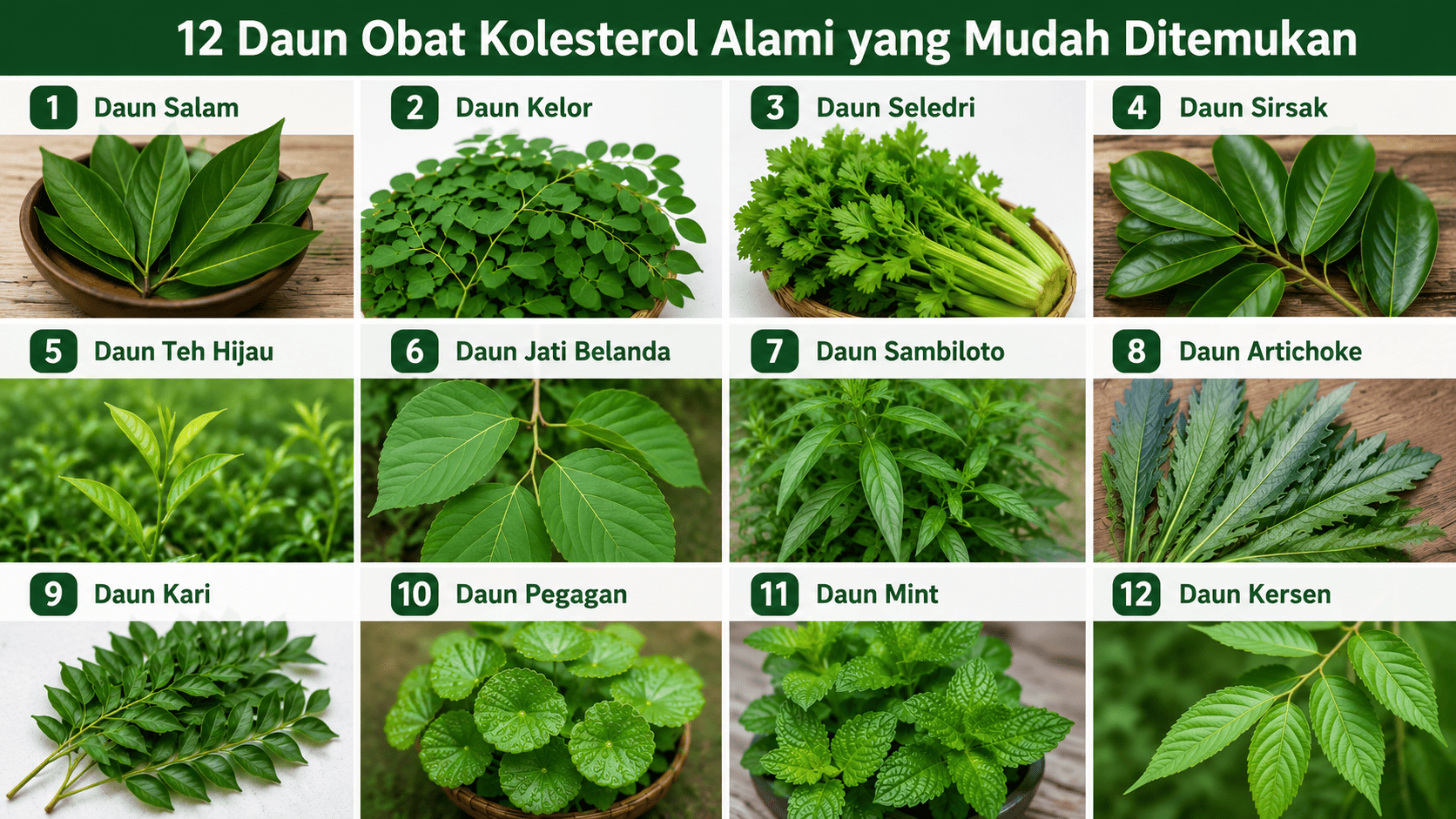 Daun Obat Kolesterol Alami