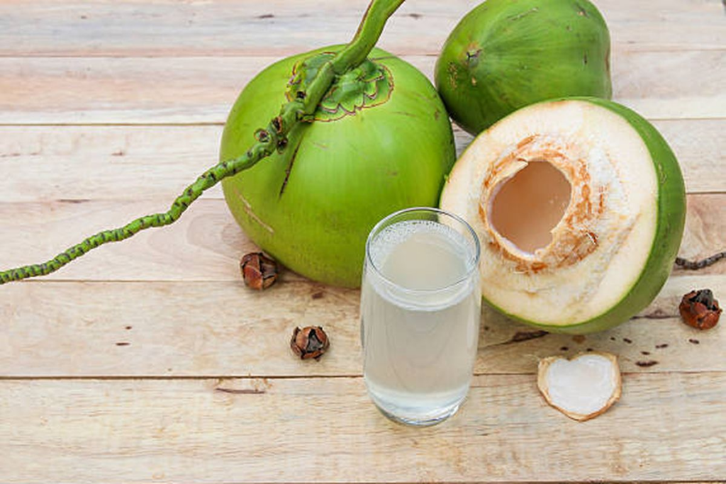 kandungan air kelapa muda