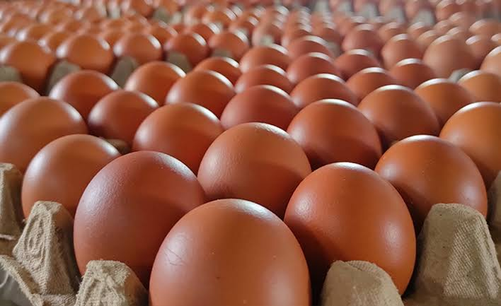 Apakah Telur Menyebabkan Kolesterol Tinggi?