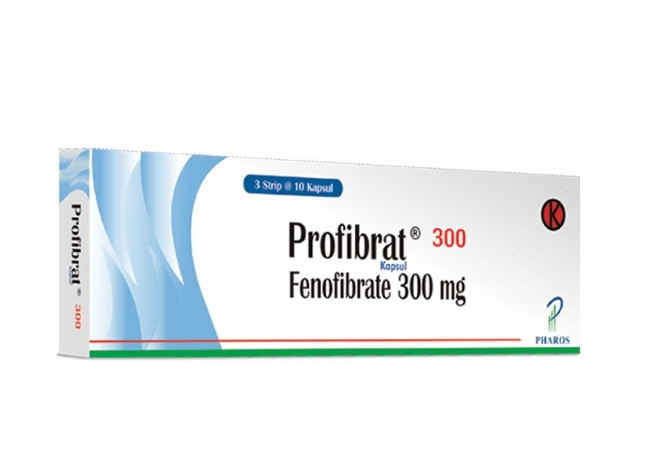 fibrat obat kolesterol paling ampuh