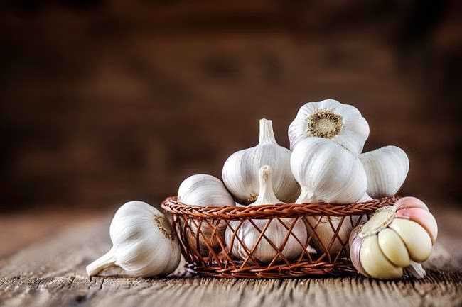 bawang putih obat kolesterol alami