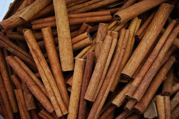 kandungan kayu manis
