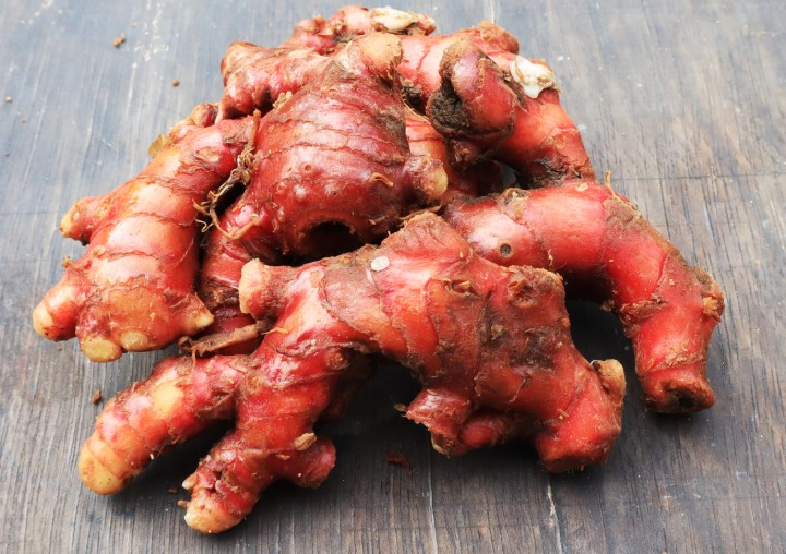 kandungan jahe merah