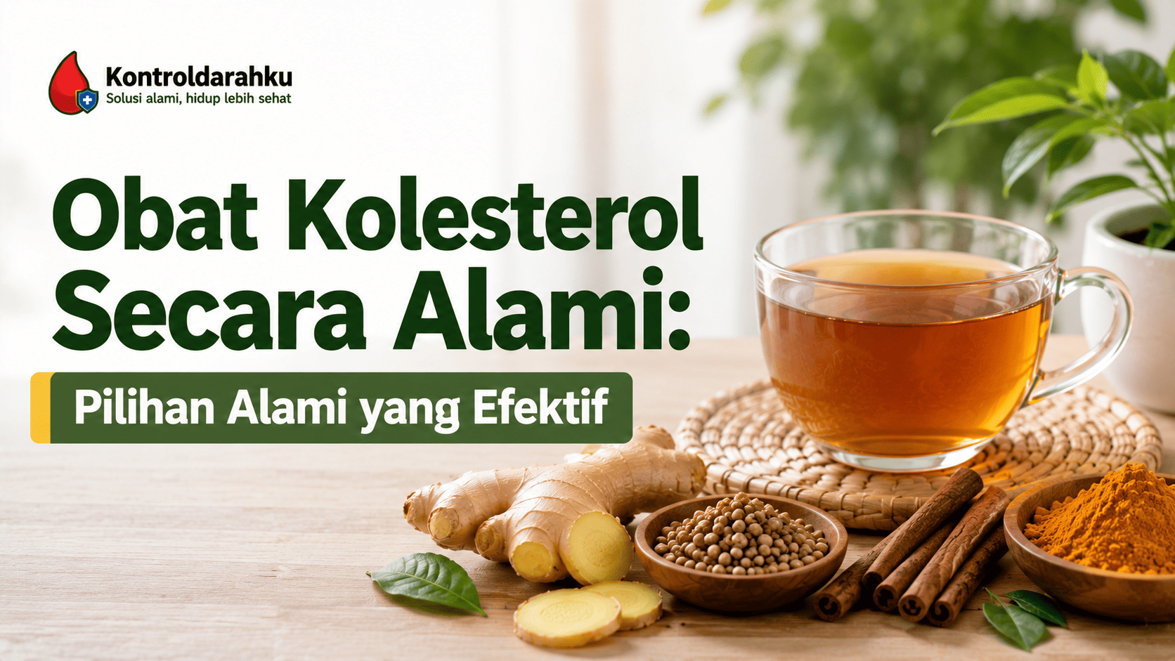 obat kolesterol secara alami