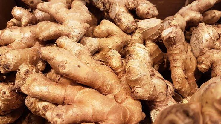 jahe ramuan herbal kolesterol