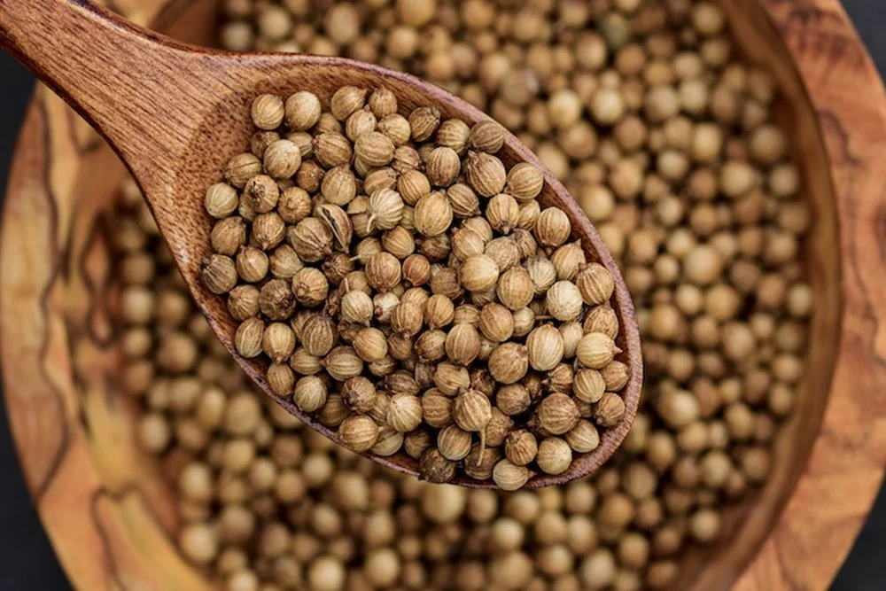 ketumbar ramuan herbal kolesterol